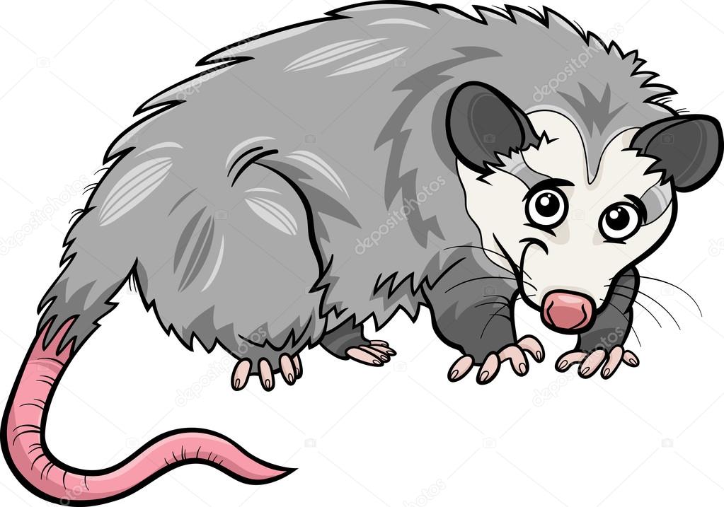opossum-animal-cartoon-illustration-stock-vector-image-by-izakowski