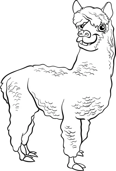 Libro de dibujos animados animales alpaca para colorear — Vector de stock