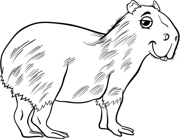 Capybara animal cartoon coloring page — Stock Vector