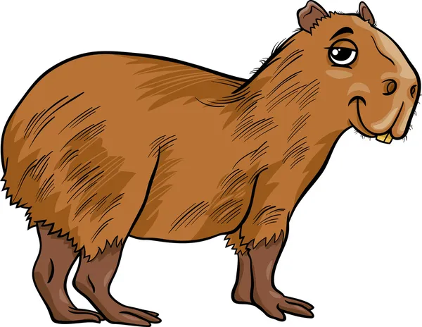 Capybara animal cartoon illustration — Stock Vector