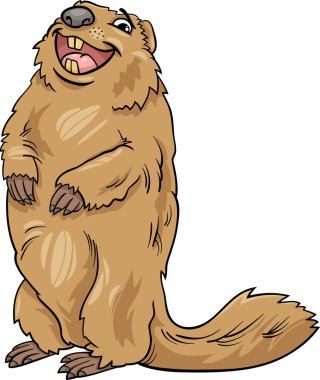 marmot animal cartoon illustration clipart