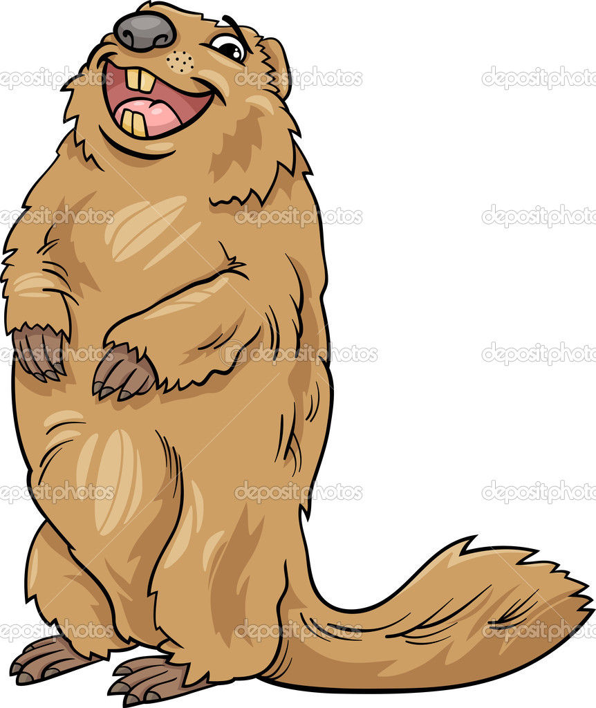 Marmotte animal dessin animé illustration image vectorielle par