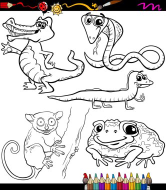 hayvan boyama kitabı karikatür ayarla