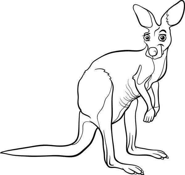 Kangoeroe dierlijk beeldverhaal kleurplaat — Stockvector