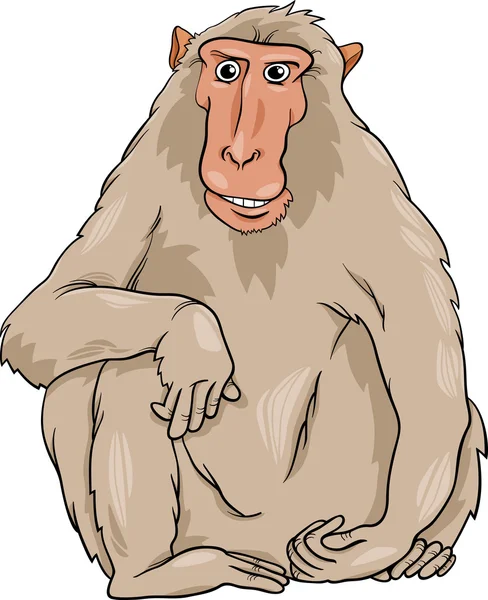 Macaquee 动物卡通插图 — 图库矢量图片