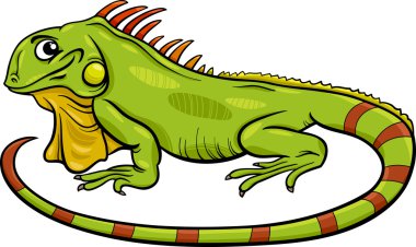 iguana animal cartoon illustration clipart