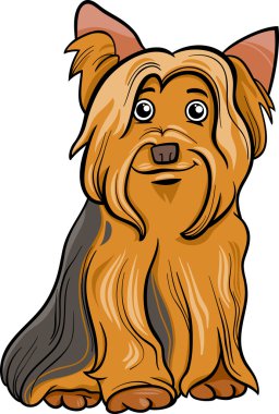 Yorkshire terrier köpek karikatür çizimi