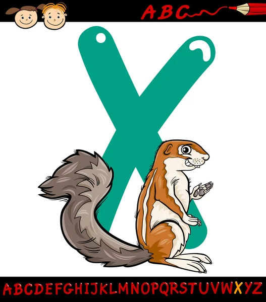 Letter x for xerus cartoon illustration — Stock Vector