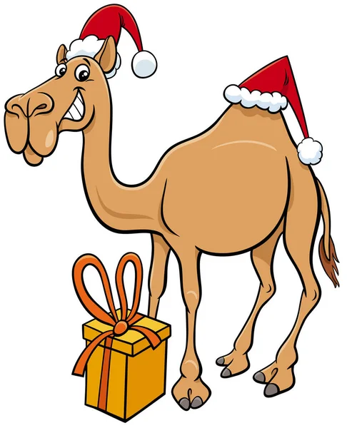Desenhos Animados Ilustração Dromedary Camelo Personagem Animal Com Presente Época — Vetor de Stock
