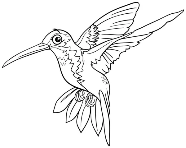Czarno Biała Kreskówka Ilustracja Śmieszne Koliber Ptak Zwierzę Charakter Kolorowanki — Wektor stockowy