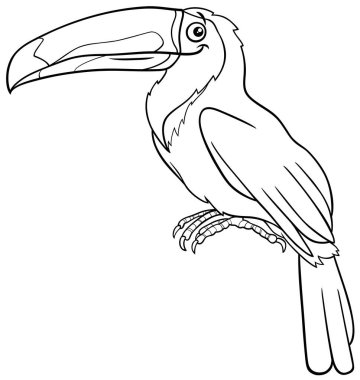 Komik bir Tukan kuşunun çizgi film çizimi. Hayvan karakteri boyama kitabı sayfası.