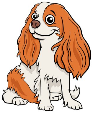 Şövalye Kral Charles Spaniel 'in çizgi film illüstrasyonunda safkan köpek karakteri