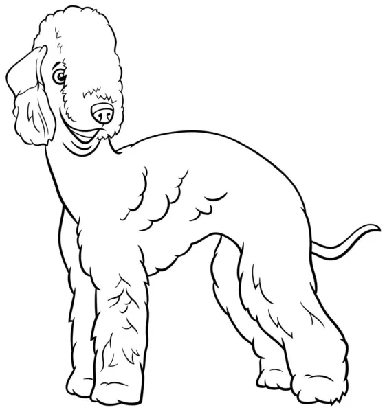 Bedlington Teriyeri Nin Siyah Beyaz Çizgi Film Çizimi Safkan Köpek — Stok Vektör