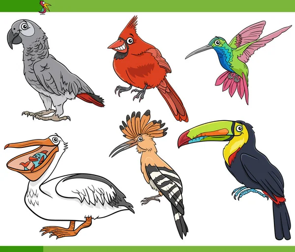 Dibujos Animados Ilustración Aves Divertidas Animales Especies Personajes Conjunto — Archivo Imágenes Vectoriales