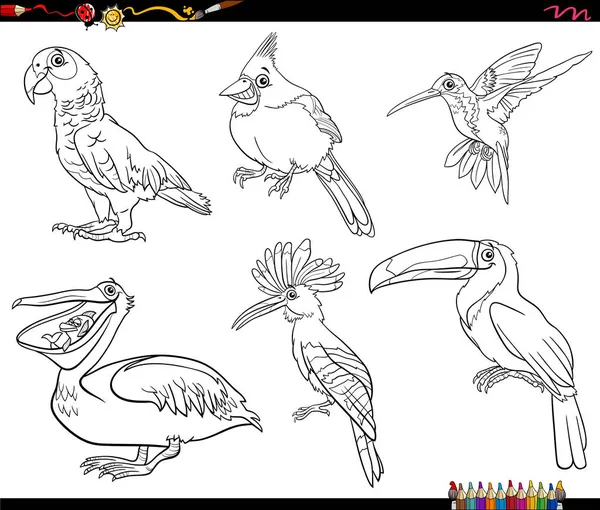 Illustration Dessins Animés Noir Blanc Personnages Oiseaux Page Livre Colorier — Image vectorielle
