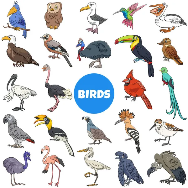Desenhos Animados Ilustração Aves Espécies Animais Personagens Grande Conjunto —  Vetores de Stock
