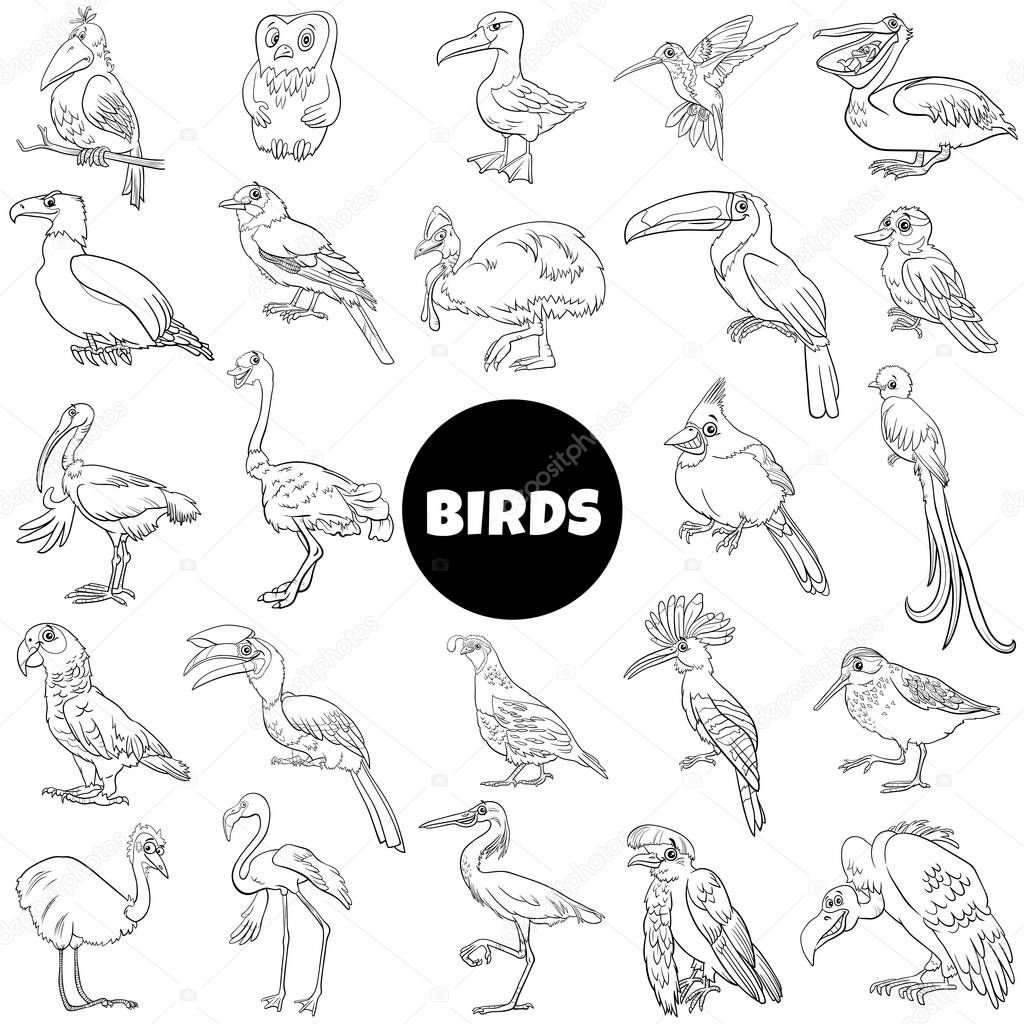 Black and white cartoon illustration of birds species animal characters big set