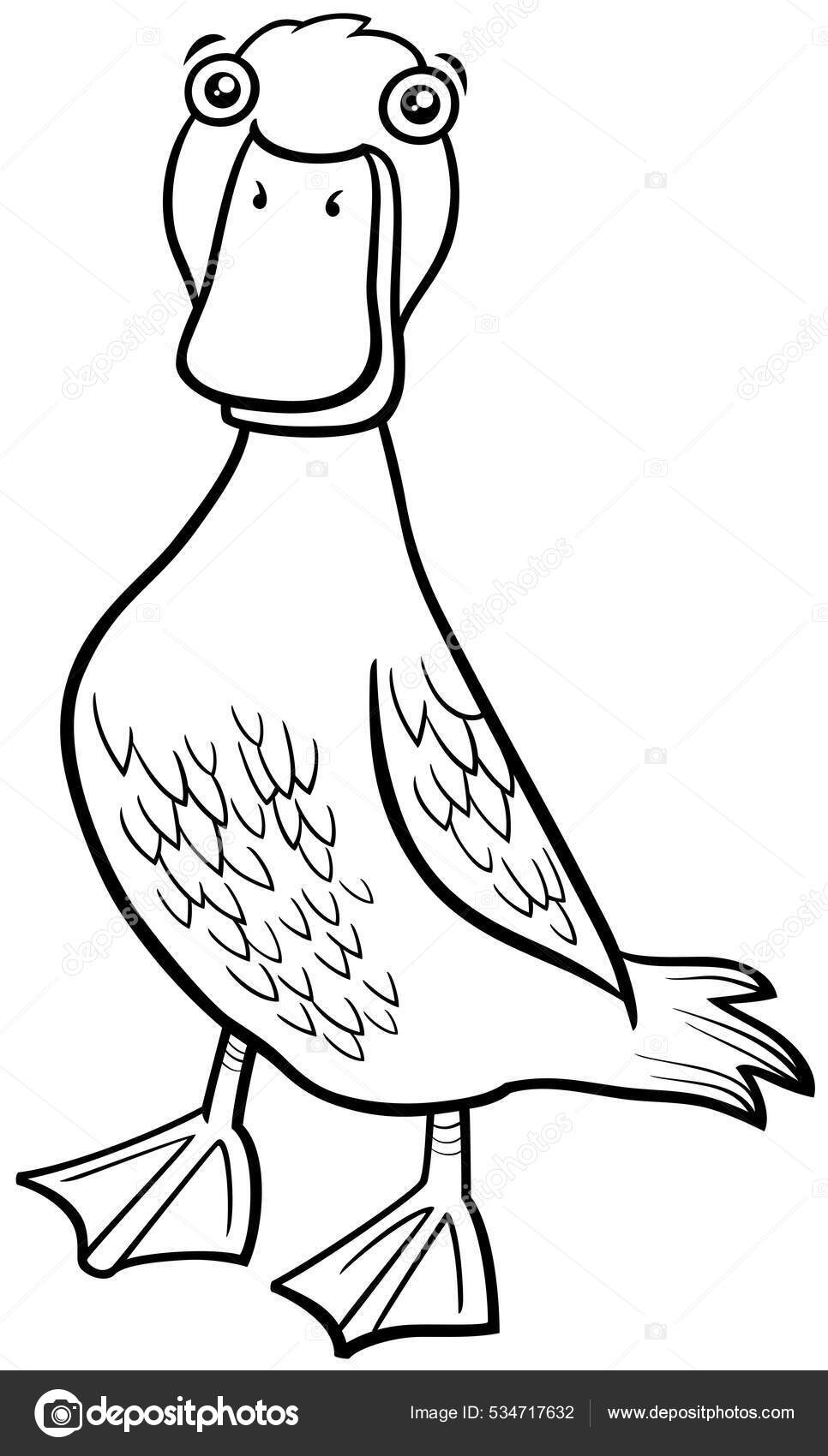 Black White Cartoon Illustration Duck Bird Farm Animal Character Coloring Stock Vector Image by ©izakowski #534717632 Black White Cartoon Illustration Duck Bird Farm Animal Character Coloring Stock Vector Image by ©izakowski #534717632