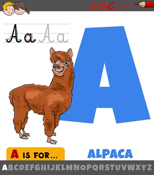 具有羊驼动物特征的字母表中字母A的教育漫画说明 — 图库矢量图片