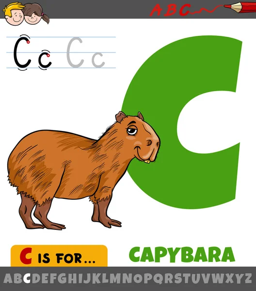 Illustration Dessin Animé Éducatif Lettre Alphabet Avec Caractère Animal Capybara — Image vectorielle