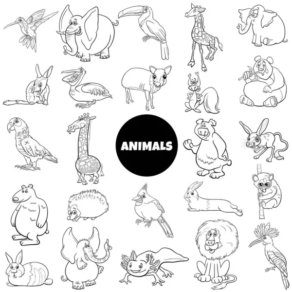 Black White Cartoon Illustration Wild Animal Species Characters Big Set — Image vectorielle