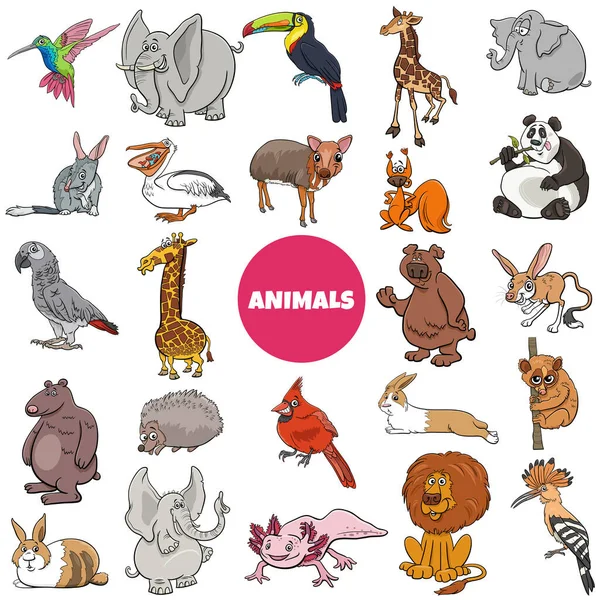 Cartoon Illustration Wild Animal Species Characters Big Set — Vector de stock