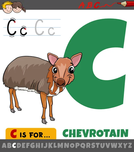 Educatieve Cartoon Illustratie Van Letter Uit Alfabet Met Chevrotain Dierlijke — Stockvector