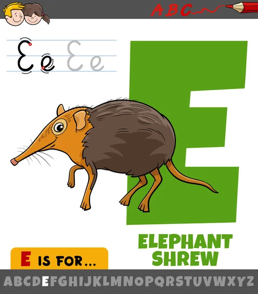Desenho Animado Educativo Ilustração Letra Alfabeto Com Caráter Animal Shrew —  Vetores de Stock
