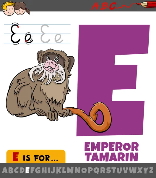 Εκπαιδευτική Εικονογράφηση Κινουμένων Σχεδίων Του Γράμματος Από Αλφάβητο Αυτοκράτορα Tamarin — Διανυσματικό Αρχείο