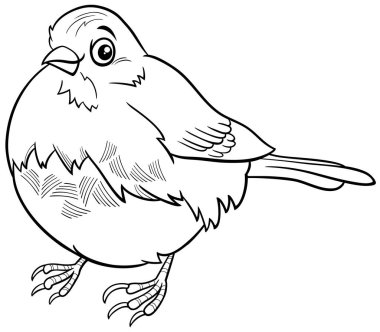 Komik junco kuş hayvan karakter boyama sayfasının siyah beyaz çizimi
