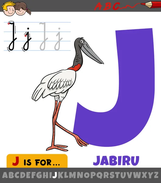 Educatieve Cartoon Illustratie Van Letter Uit Alfabet Met Jabiru Vogel — Stockvector