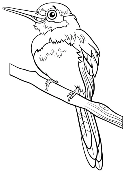 Svart Och Vit Tecknad Illustration Rolig Jacamar Fågel Karaktär Målarbok — Stock vektor