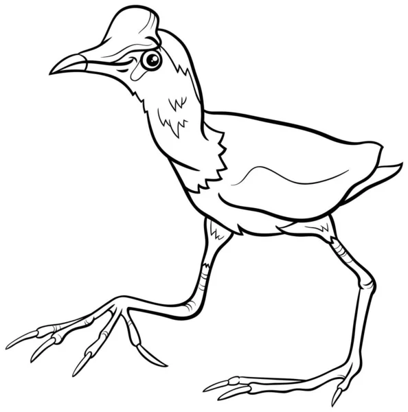 Siyah Beyaz Çizgi Film Çizimi Komik Jacana Kuş Karakteri Boyama — Stok Vektör