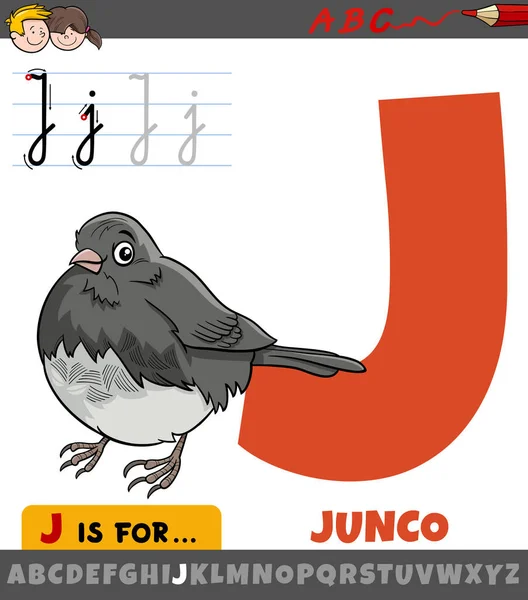 Tecknad Utbildning Illustration Bokstaven Från Alfabetet Med Junco Fågel Djur — Stock vektor