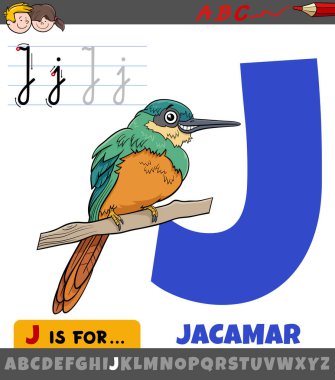 Jakamar kuşlu hayvan karakterli J harfinin eğitici çizimi.