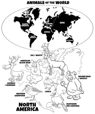 Karikatür Kuzey Amerika hayvan türleri ve kıta boyama kitabı sayfalı dünya haritası ile siyah ve beyaz eğitici illüstrasyon