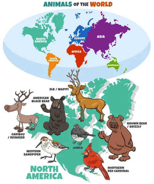 漫画と教育イラスト北アメリカの動物種と大陸と世界地図 — ストックベクタ