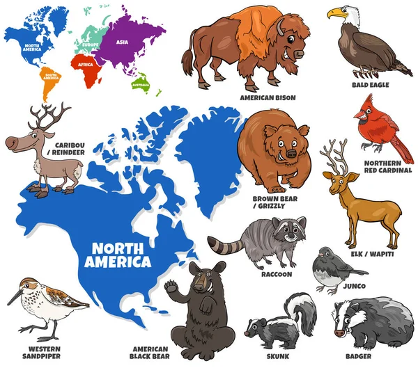 Educational Cartoon Illustration North American Animal Characters Set World Map — Stock Vector