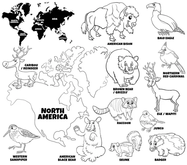 Schwarzweiß Pädagogische Cartoon Illustration Der Nordamerikanischen Tierfiguren Set Und Weltkarte — Stockvektor