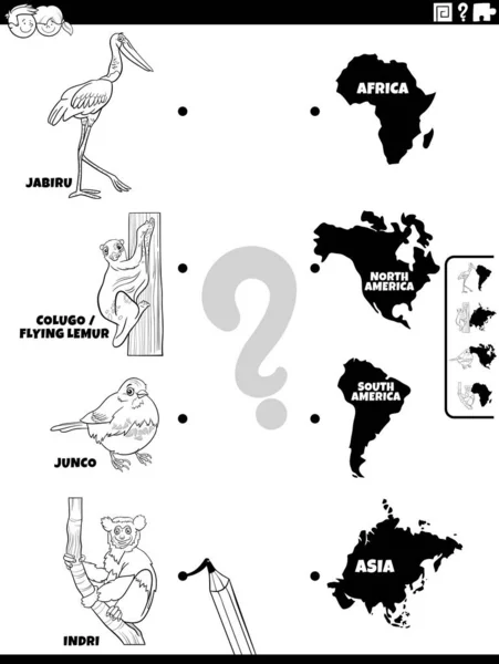 Чорно Біла Мультяшна Ілюстрація Навчального Завдання Персонажами Видів Тварин Континентів — стоковий вектор