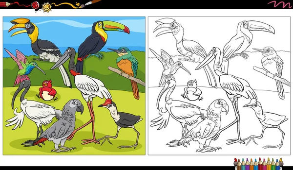 Εικονογράφηση Κινουμένων Σχεδίων Της Ομάδας Χαρακτήρων Πτηνών Ζώων Χρωματισμός Σελίδα — Διανυσματικό Αρχείο