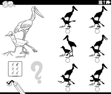 Jacana ve Jabiru kuşları hayvan karakteri boyama kitabı sayfası olan çocuklar için eğitici bir oyun.