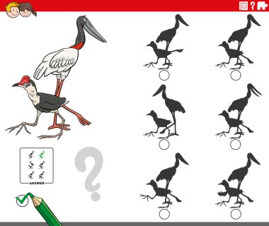 Çaktırmadan gölgeyi bulmanın çizgi film çizimi Jacana ve Jabiru kuşları hayvan karakterli çocuklar için eğitici bir oyun