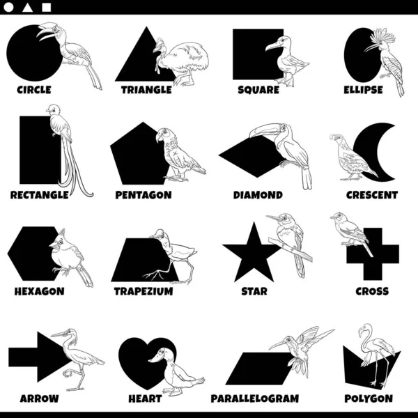 Black White Educational Cartoon Illustration Basic Geometric Shapes Captions Birds — Stock Vector