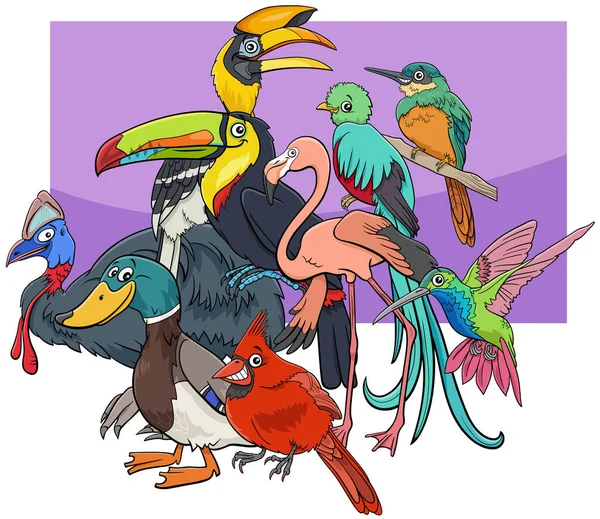 Desenhos Animados Ilustração Aves Engraçadas Grupo Personagens Animais Cômicos —  Vetores de Stock