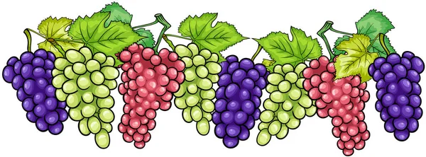 Dibujos Animados Ilustración Racimos Uvas Blancas Rojas Negras Azules Frutas — Archivo Imágenes Vectoriales