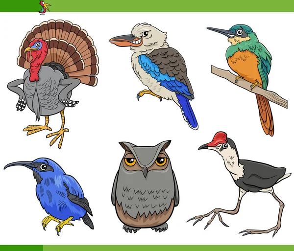 Ilustracja Komiksu Ptaków Gatunki Zwierząt Postacie Zestaw — Wektor stockowy