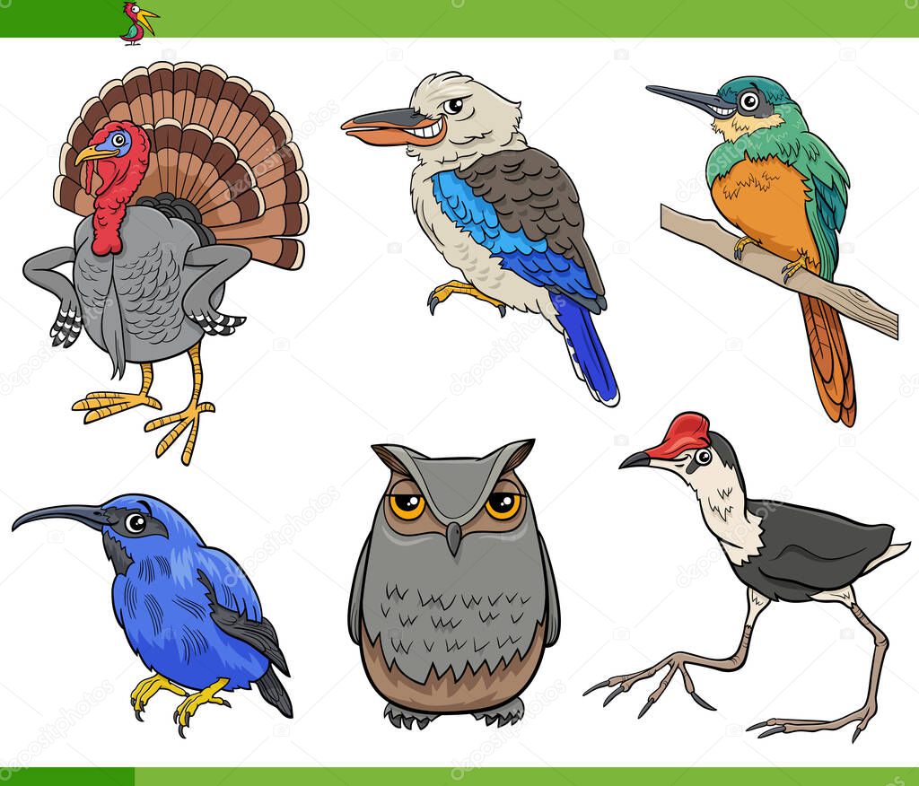 Cartoon illustration of comic birds animal species characters set