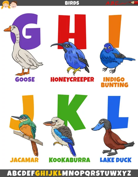 Cartoon Illustration Educational Colorful Alphabet Set Letter Comic Birds Animal — Stock Vector