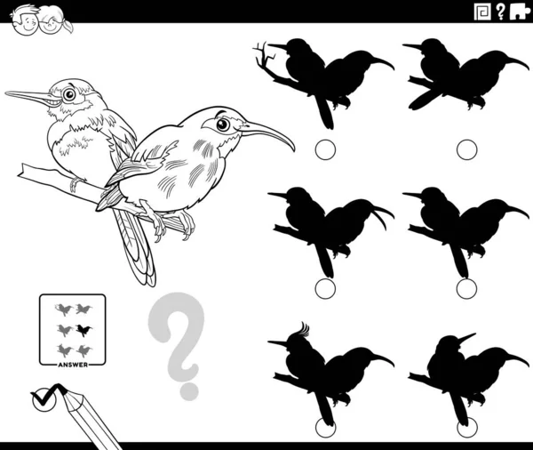 Black White Cartoon Illustration Finding Shadow Differences Educational Game Jacamar — Vetor de Stock